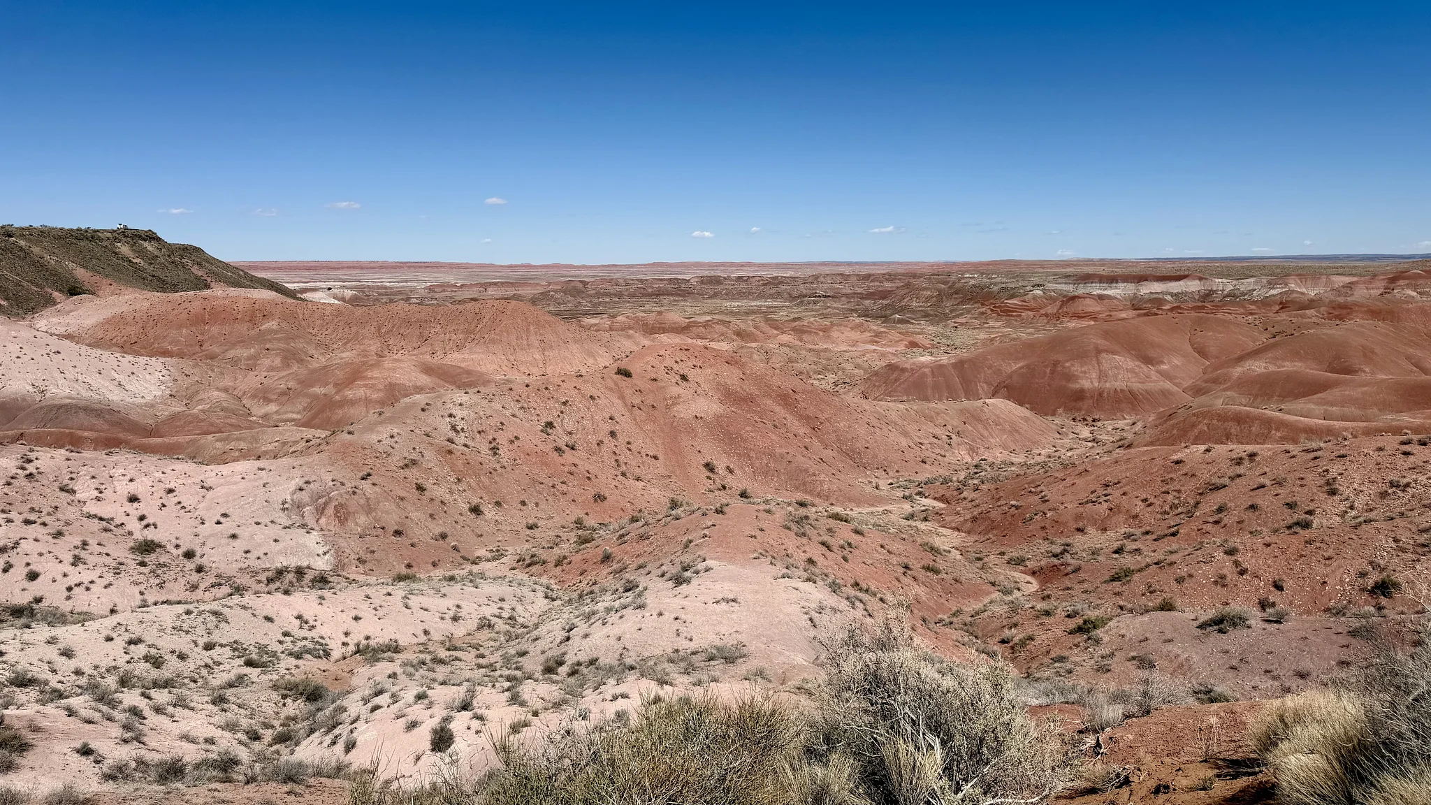 ‎⁨Petrified Forest, ⁨Saint Johns⁩, ⁨Arizona⁩, ⁨United States⁩