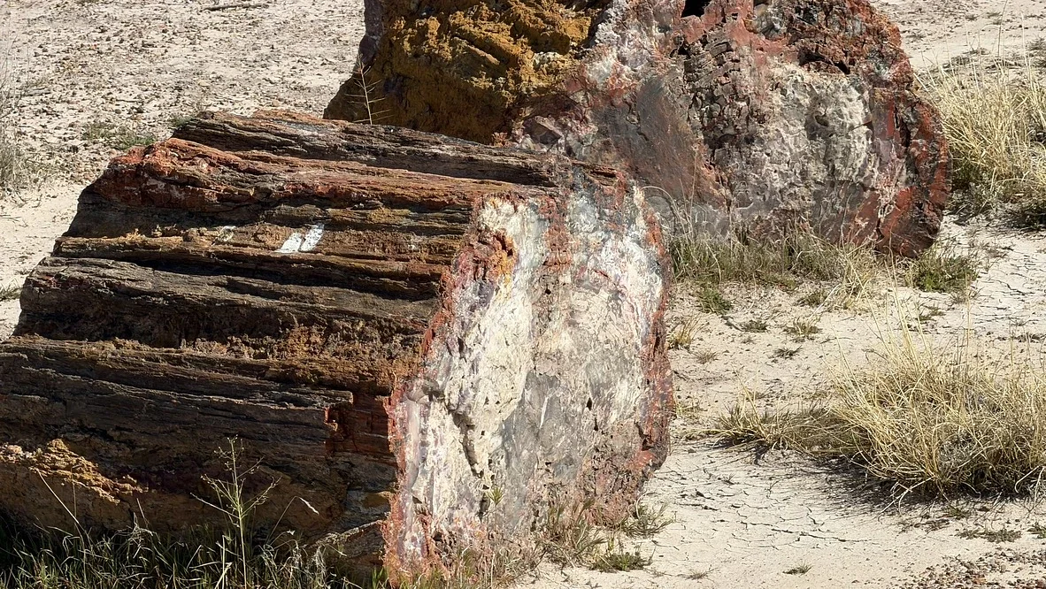 ‎⁨Petrified Forest National Park⁩, ⁨Saint Johns⁩, ⁨Arizona⁩, ⁨United States⁩