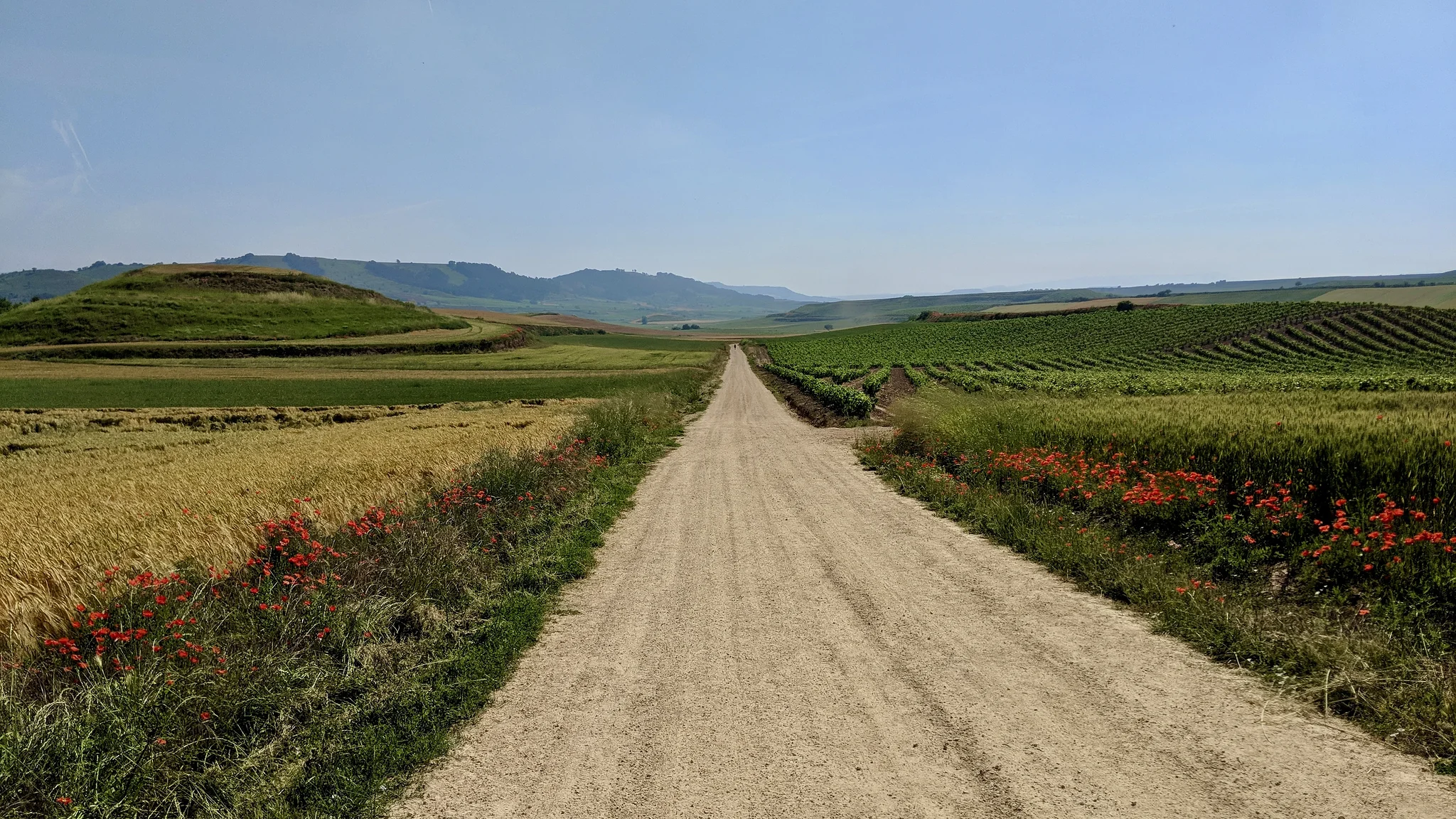‎⁨Cirueña⁩, ⁨Rioja⁩, ⁨Spain⁩