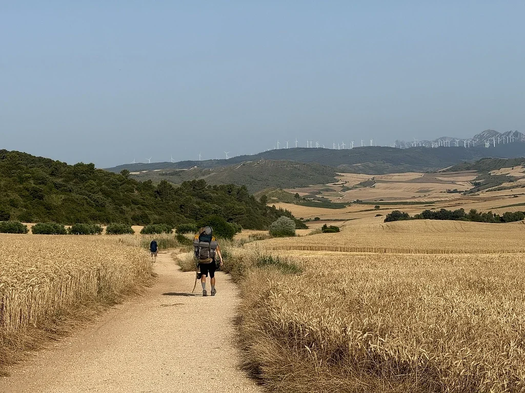 Camino Through the Grain, ‎⁨Villamayor de Monjardín⁩, ⁨Navarra⁩, ⁨Spain⁩