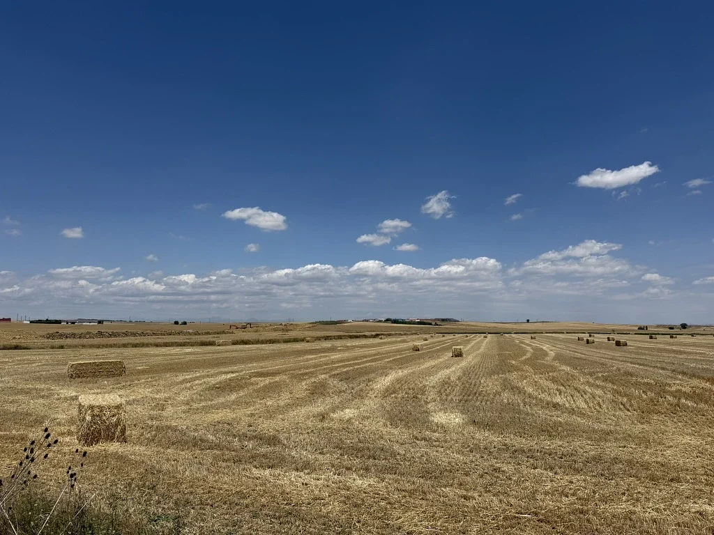 Scattered Bales Near ‎⁨Carrión de Los Condes⁩, ⁨Palencia⁩, ⁨Spain⁩