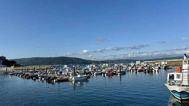 Fisterra Harbor at Golden Hour