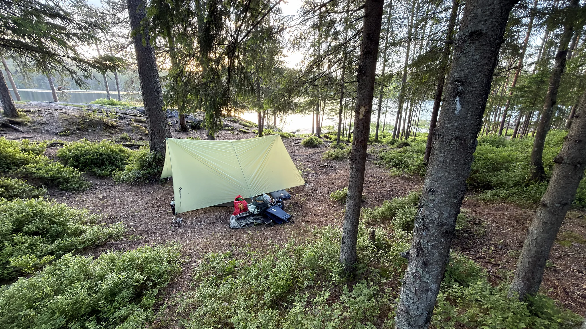 Shelter Under the Pines, Østervann