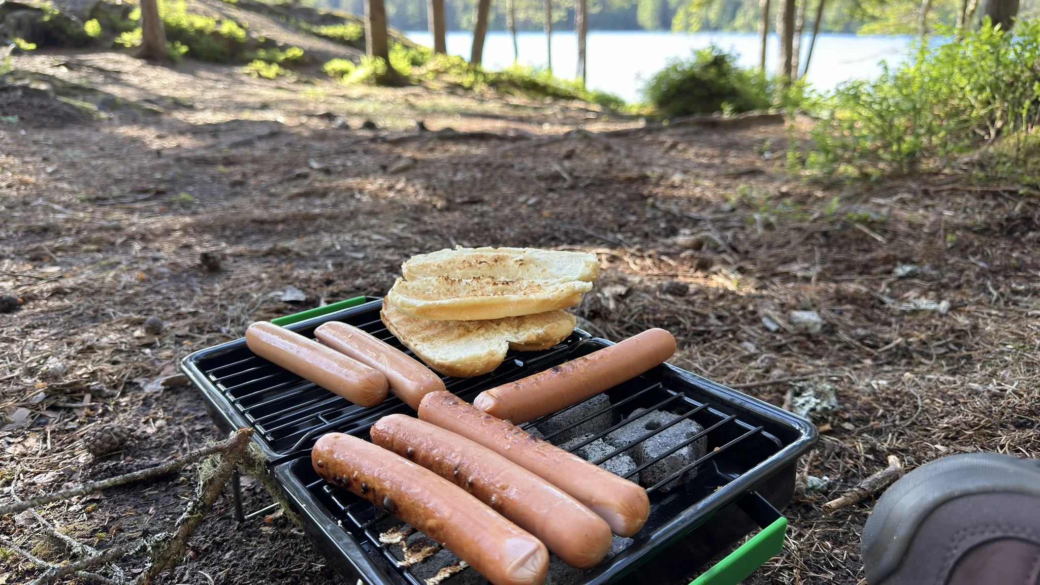Pølser at the lake